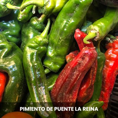 pimiento rojo